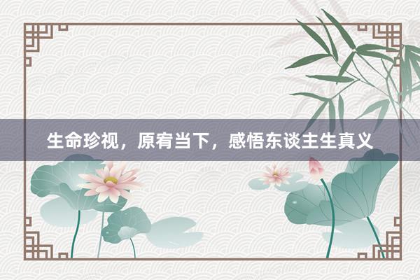 生命珍视，原宥当下，感悟东谈主生真义