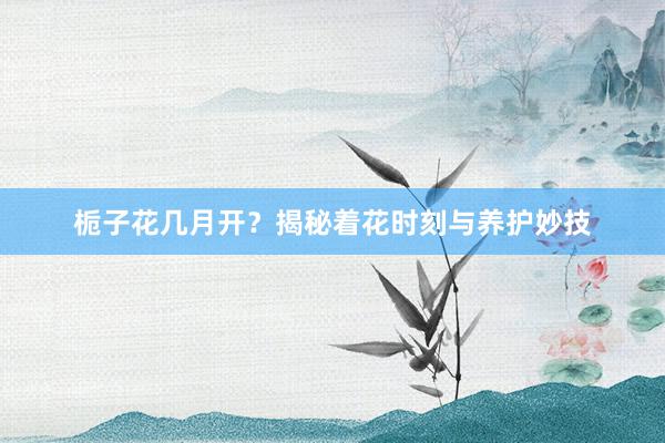 栀子花几月开？揭秘着花时刻与养护妙技