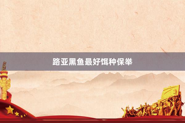 路亚黑鱼最好饵种保举